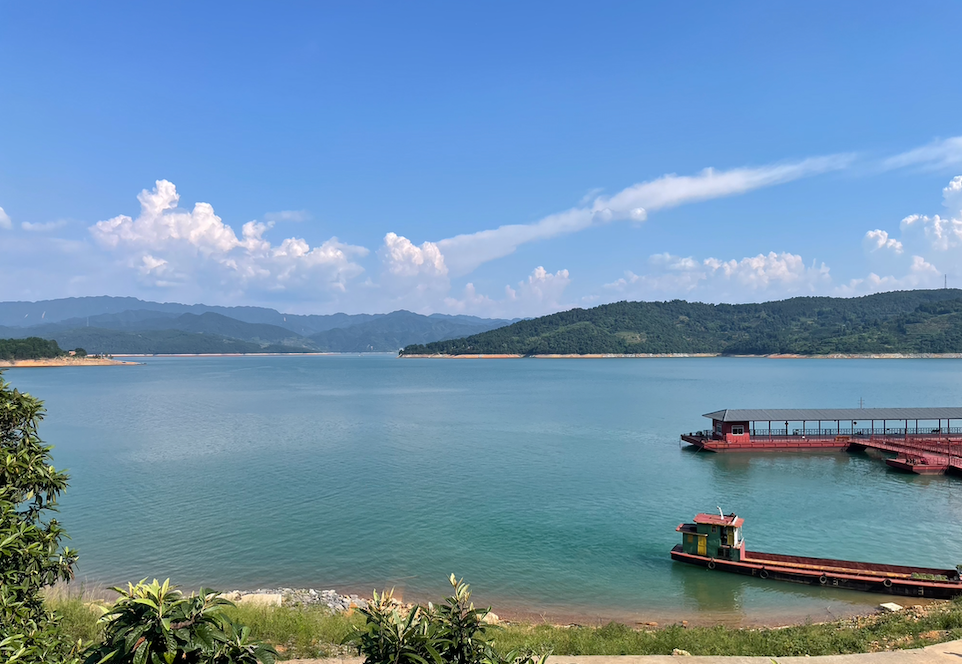 農批市場項目全案策劃